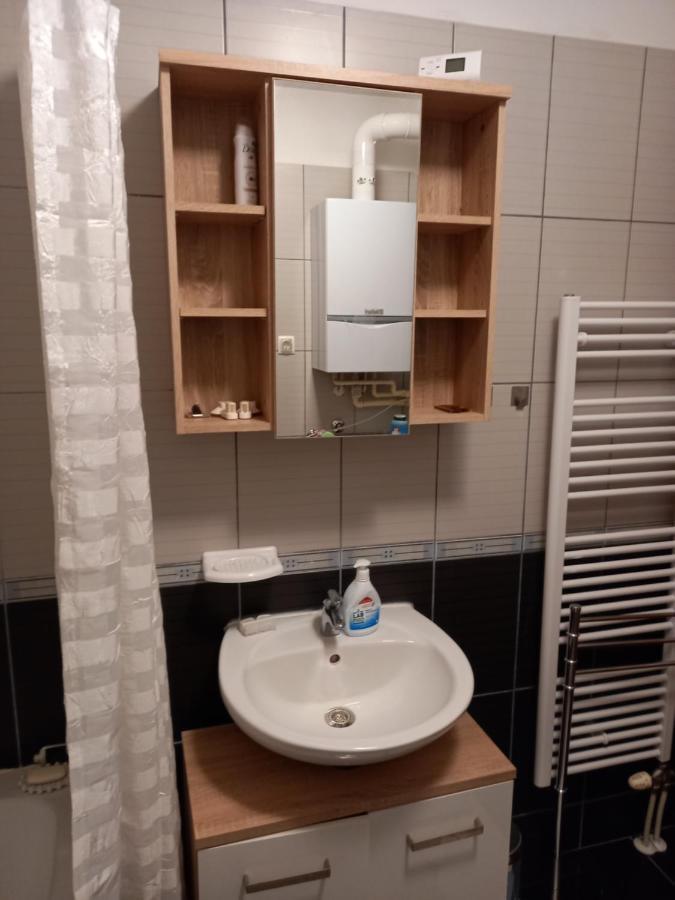 Apartman Mario - Arena ザグレブ エクステリア 写真